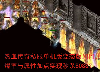 ��Ѫ����˽���������̬�����ͨ���߱��������Լӵ�ʵ����ɱBOSS��