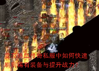 ��̬��Ѫ����˽������ο���ˢ��ϡ��װ��������ս����