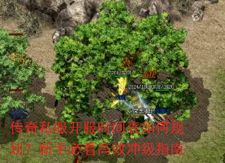 ����˽������ʱ�����ι滮�����ֱؿ���Ч�弶ָ��
