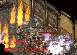 ��Ѫ����˽��սʿְҵǰ����ο����������