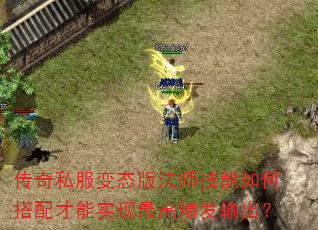 ����˽����̬�淨ʦ������δ������ʵ����߱��������