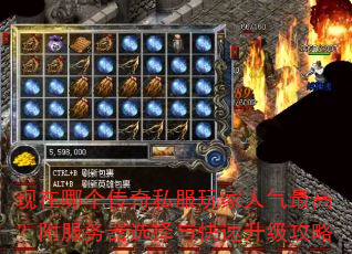 �����ĸ�����˽�����������ߣ���������ѡ���������������