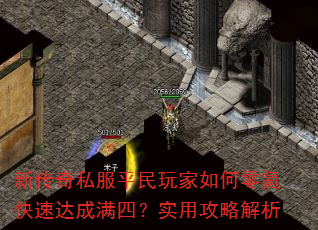 �´���˽��ƽ����������봿��ٴ�����ģ�ʵ�ù��Խ���
