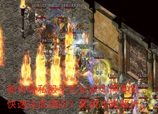�´���˽��ƽ����������봿��ٴ�����ģ�ʵ�ù��Խ���