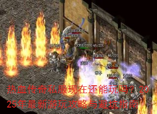 ��Ѫ����˽�����ڻ�������2025���������湥����ܿ�ָ��
