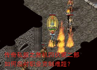 ����˽��֮Σ���ķ��ڶ������Ӧ��ְҵ�������⣿