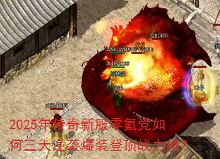 2025�괫���·���봵����������Ϯ��װ�Ƕ�ս����