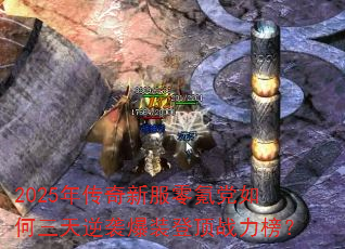 2025�괫���·���봵����������Ϯ��װ�Ƕ�ս����