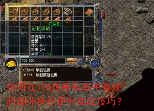 �����176����˽������Ч������Ҳ�����ʵս���ɣ�