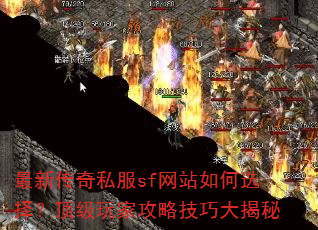 ���´���˽��sf��վ���ѡ�񣿶�����ҹ��Լ��ɴ����
