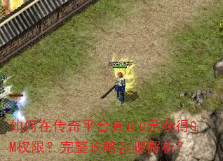 ����ڴ���ƽ̨����0Ԫ���GMȨ�ޣ��������Բ��������