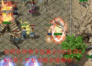 ����ڴ���ƽ̨����0Ԫ���GMȨ�ޣ��������Բ��������
