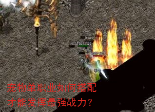 ���ﵥְҵ��δ�����ܷ�����ǿս����