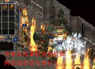 ����˽����ְҵ������θ�Ч��ȡ��ǿ����