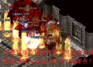 ����˽�������¿�����ο���������ְҵѡ����װ����ȡ��������Щ��