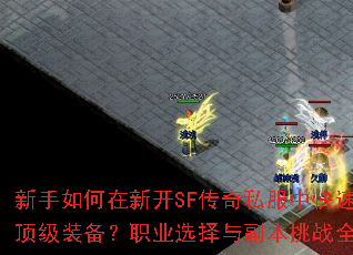 ����������¿�SF����˽���п��ٻ�ȡ����װ����ְҵѡ���븱����սȫ������