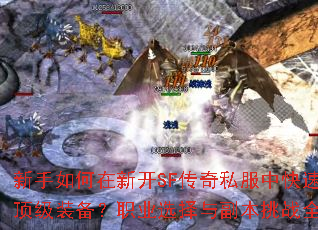 ����������¿�SF����˽���п��ٻ�ȡ����װ����ְҵѡ���븱����սȫ������