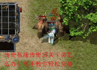 ����˽������35�ؿ�����ô�죿���ֽ�������ͻ��