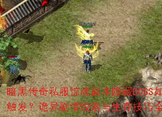 ���ڴ���˽�����긱������BOSS��δ���������������������漼��ȫ����