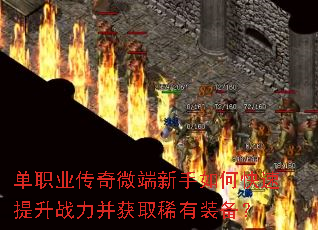 ��ְҵ����΢��������ο�������ս������ȡϡ��װ����