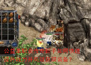 ���浥ְҵ����������ο�������ս������Ч��ȡװ����