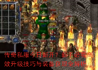 ����˽�������¿������ֱؿ���Ч����������װ����ȡȫ����