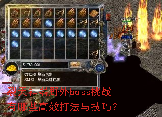 ��������Ұ��boss��ս����Щ��Ч���뼼�ɣ�