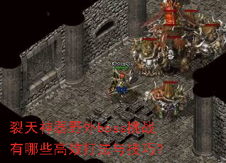 ��������Ұ��boss��ս����Щ��Ч���뼼�ɣ�