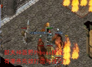 ��������Ұ��boss��ս����Щ��Ч���뼼�ɣ�