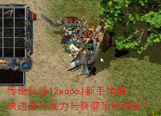 ����˽��12woool������ο�������ս�����ȡ����װ����