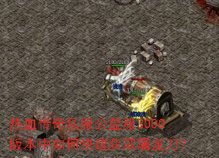 ��Ѫ����˽�������3000�汾����ο��ٻ�ȡ��������