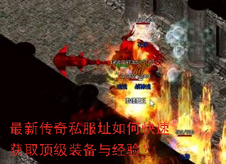 ���´���˽��ַ��ο��ٻ�ȡ����װ���뾭�飿