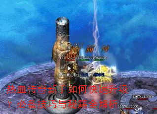 ��Ѫ����������ο����������ر��������ؼ�ȫ����