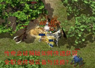 ������ƽ����ο��ٻ�ȡȫְҵ�ռ�װ���뼼�ܣ�