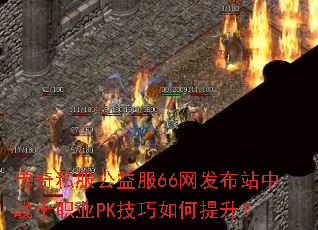 ����˽�������66������վ��սʿְҵPK�������������
