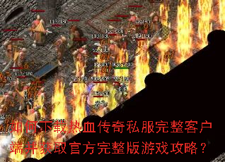 ���������Ѫ����˽�������ͻ��˲���ȡ�ٷ���������Ϸ���ԣ�
