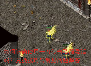 �����ȷʹ��һ������˽�������룿�һ������볣��������