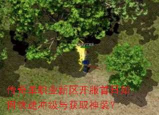 ���浥ְҵ��������������ο��ٳ弶���ȡ��װ��