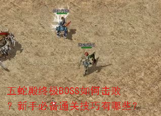���ߵ��ռ�BOSS��λ��ܣ����ֱر�ͨ�ؼ�������Щ��