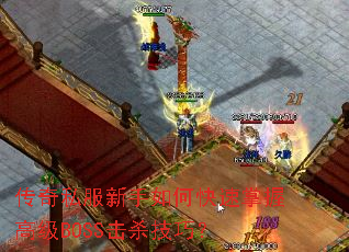 ����˽��������ο������ո߼�BOSS��ɱ���ɣ�