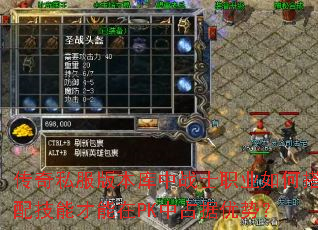����˽���汾����սʿְҵ��δ��似�ܲ�����PK��ռ�����ƣ�