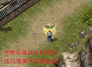 ����˽��սʿְҵPK��������Щʵ���ؾ���