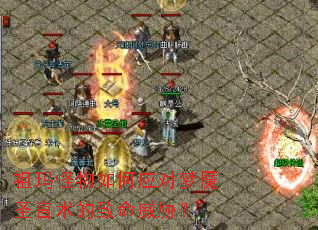 ����������Ӧ������ʥ������������в��