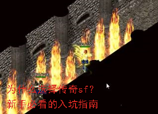 Ϊʲôѡ����sf�����ֱؿ������ָ��