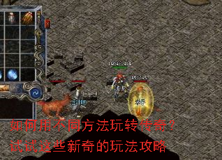 ����ò�ͬ������ת���棿������Щ������淨����