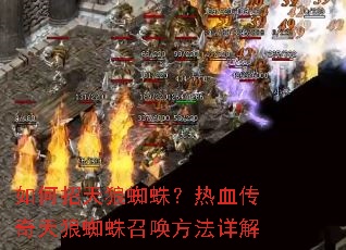 ���������֩�룿��Ѫ��������֩���ٻ��������