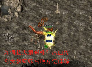 ���������֩�룿��Ѫ��������֩���ٻ��������
