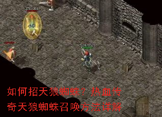 ���������֩�룿��Ѫ��������֩���ٻ��������