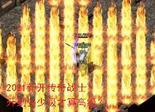 2021�¿�����սʿ�������ټ�����߼���
