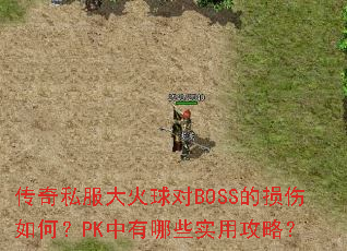 ����˽��������BOSS��������Σ�PK������Щʵ�ù��ԣ�